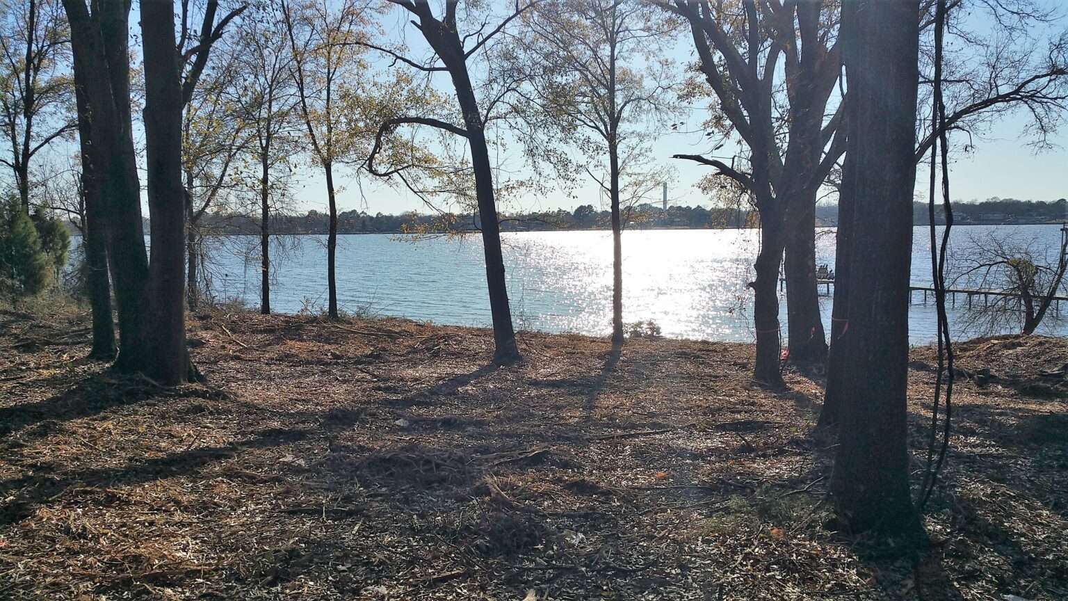 East Texas Cedar Creek Lake & Lake Palestine Acreage & Lots For Sale